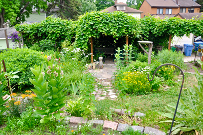 Residential Garden in Prospect Park Garden Club