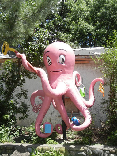 Octopus Car Wash - Many Hands to Serve You